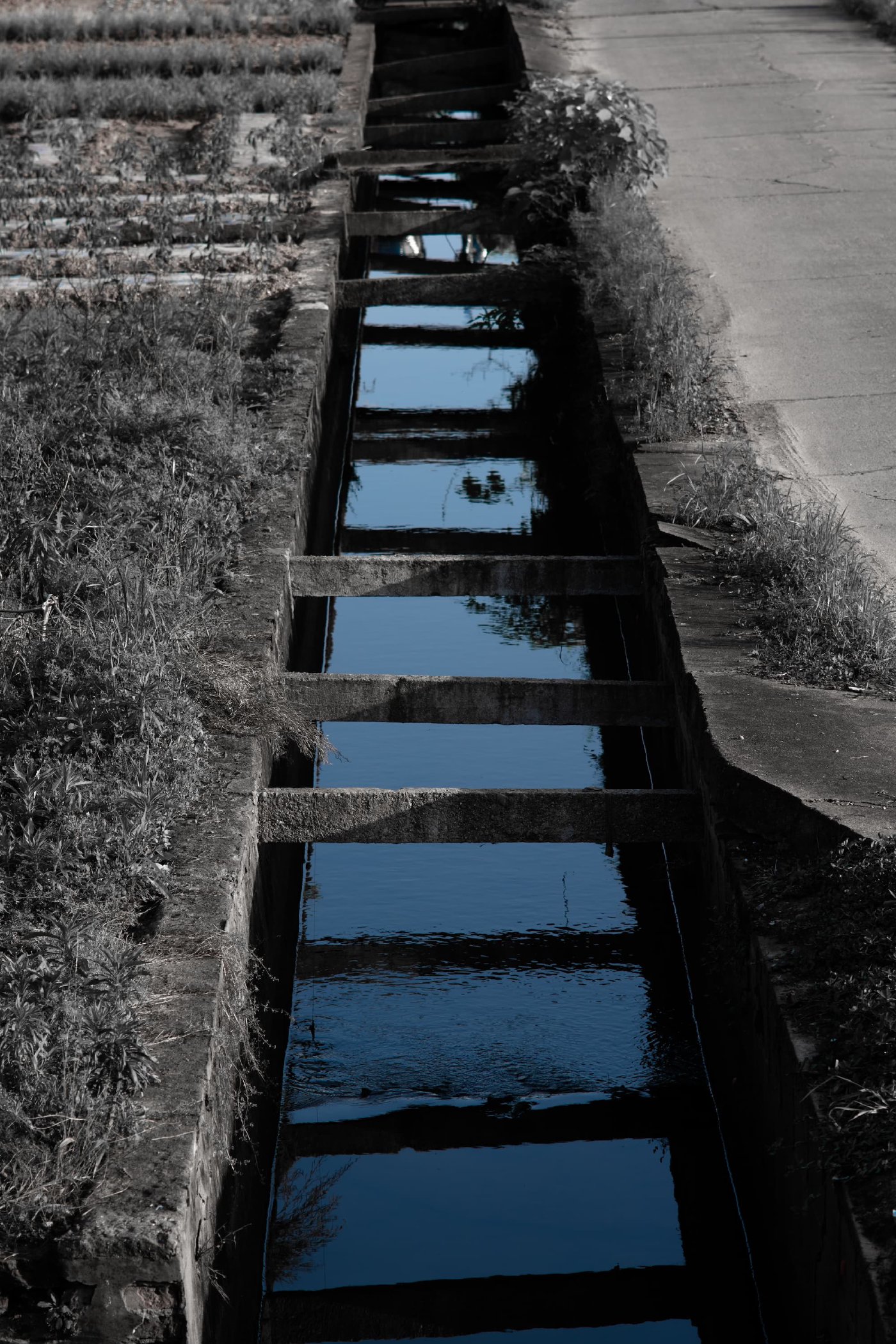 BlueLine