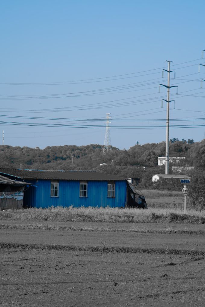 BlueShed