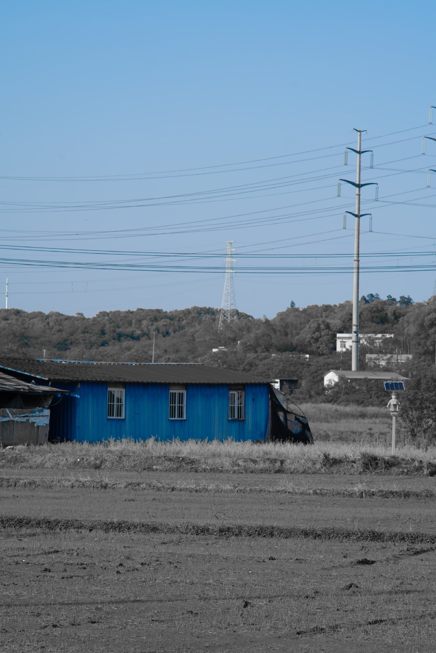 BlueShed