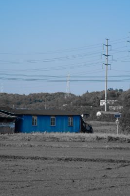 BlueShed