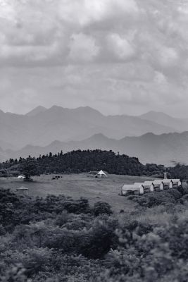 Dwelling Between Ages 栖于古今之间