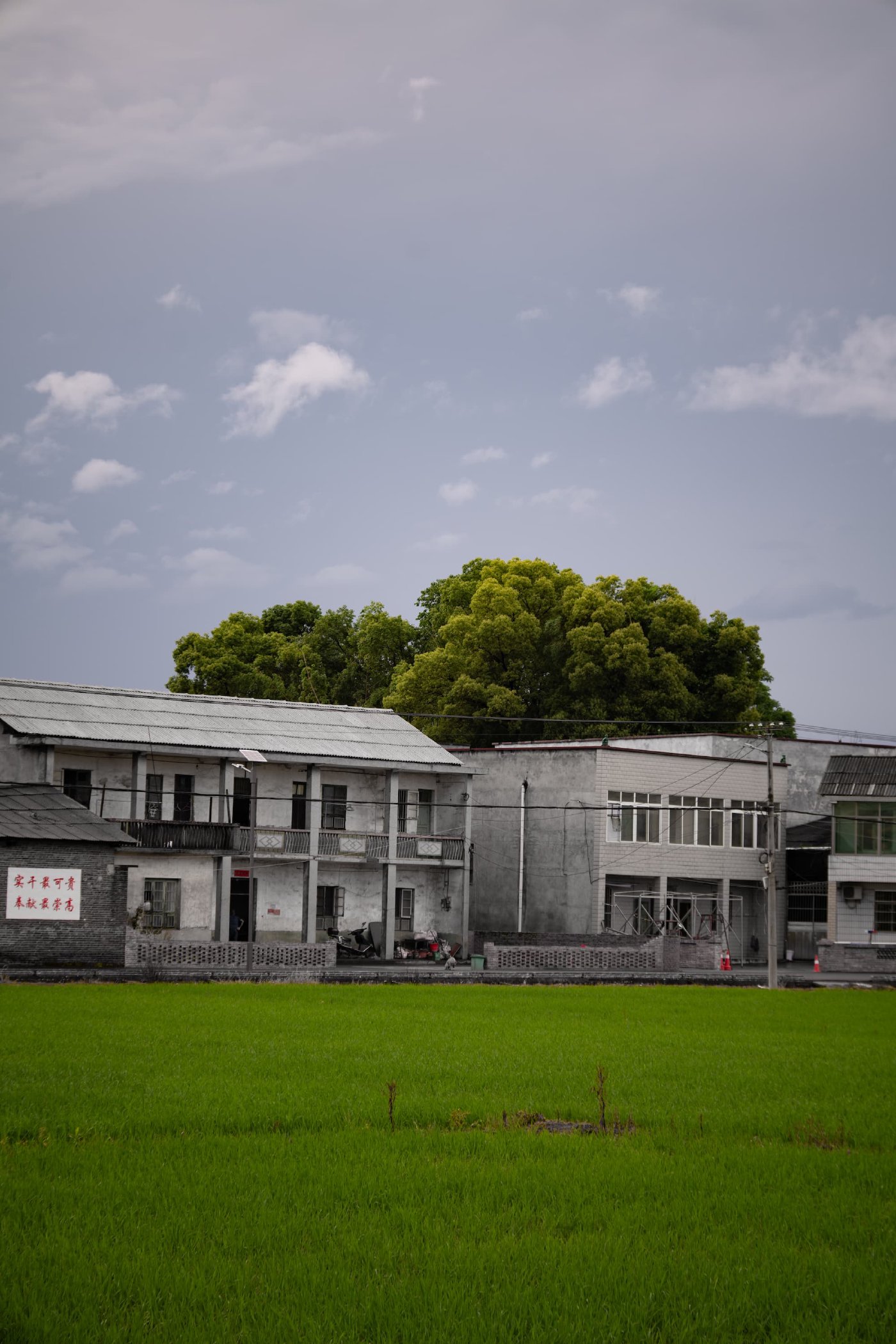 GreenField 青野