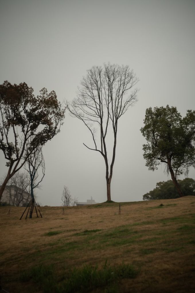 Mist