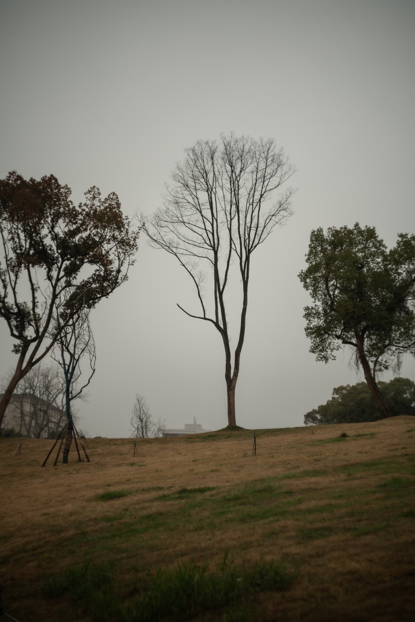Mist
