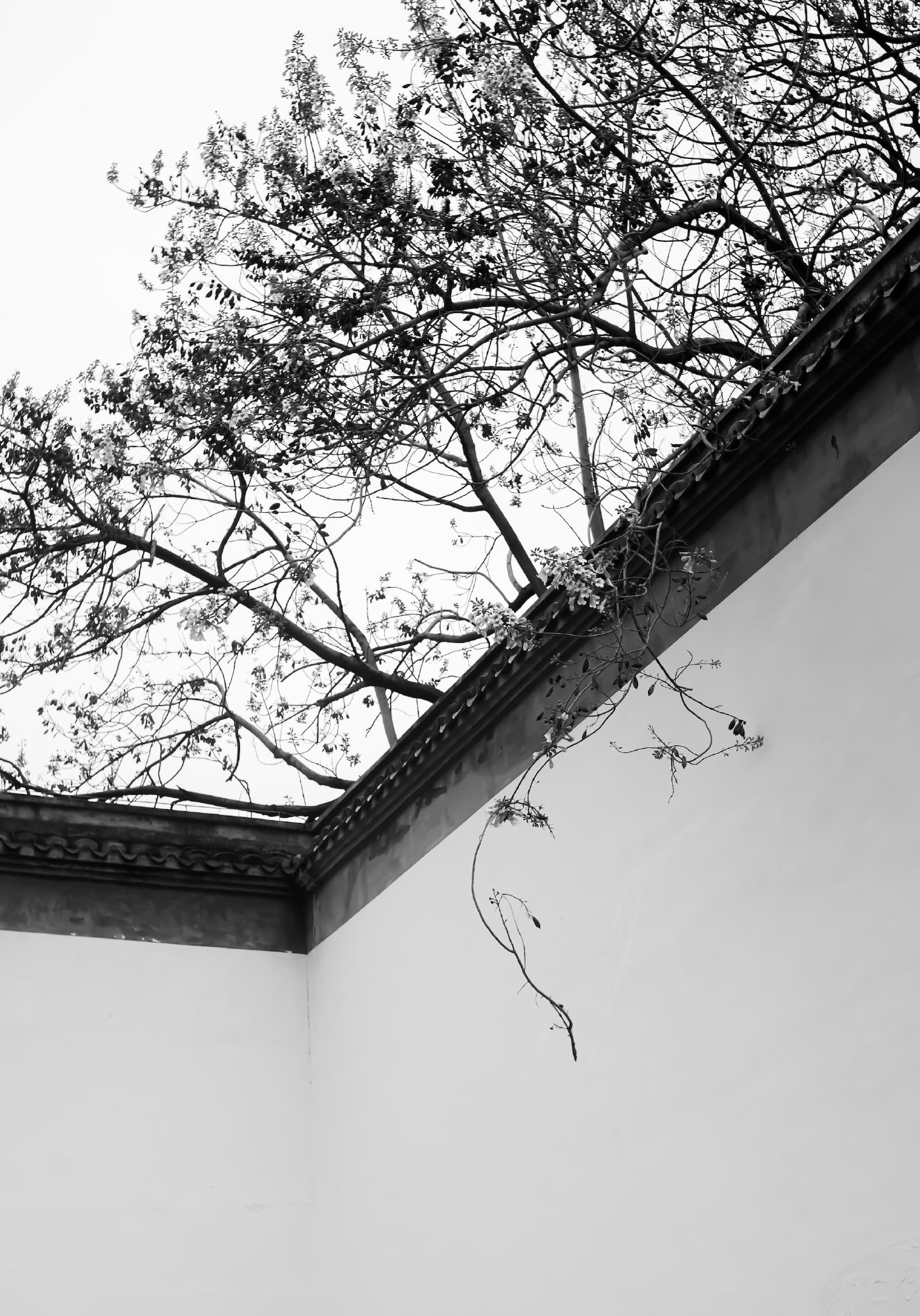 Overhang