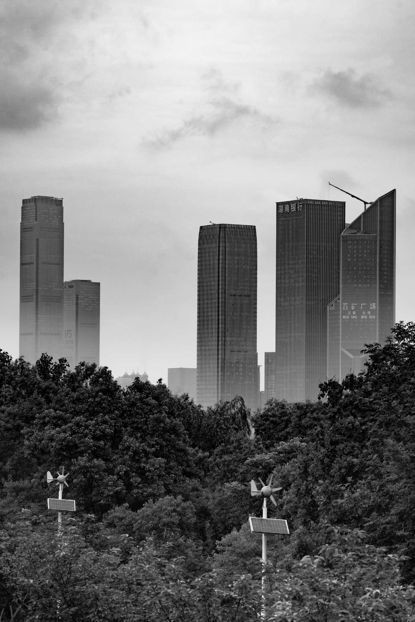 Urban Forest 都市森林